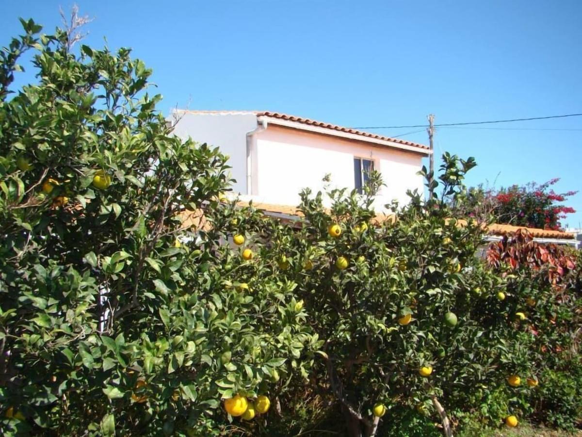 גרנדילה דה אבונה Orchard Cottage מראה חיצוני תמונה